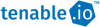 Купить Tenable.io в интернет-магазине SoftOnline.