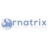 Купити Ornatrix for 3ds Max в інтернет-магазині SoftOnline. Купити Ornatrix for 3ds Max в інтернет-магазині SoftOnline.